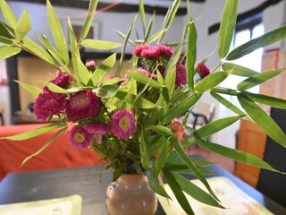 Casa de vacaciones Bézenac  38