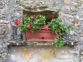 Maison de vacances Bézenac  39