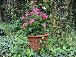 Ferienhaus Bézenac  29