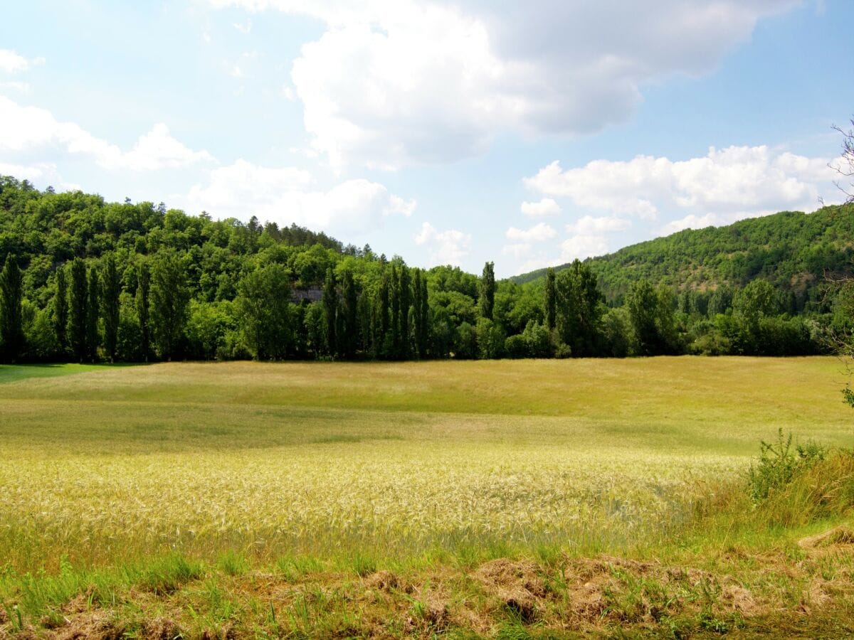 Ferienhaus Saint-Martial-de-Nabirat Umgebung 15