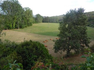 Vakantiehuis Saint-Martial-de-Nabirat Omgeving 19