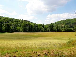 Vakantiehuis Saint-Martial-de-Nabirat Omgeving 16