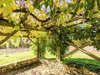 Holiday house Cendrieux Outdoor Recording 2
