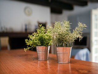 Casa per le vacanze Cendrieux  40