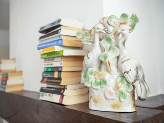 Vakantiehuis Cendrieux  40