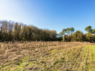 Maison de vacances Cendrieux Enregistrement extérieur 4