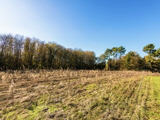 Vakantiehuis Cendrieux Buitenaudio-opname 4