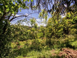 Type de propriété : Chalet Issac Environnement 37