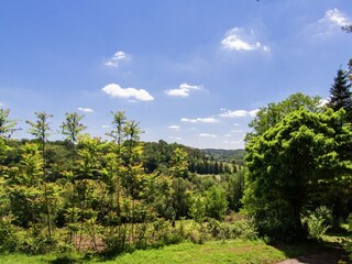 Casa de campo Issac Grabación al aire libre 12