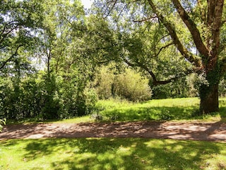 Cottage Issac Außenaufnahme 7