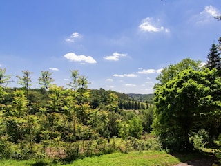 Cottage Issac Außenaufnahme 8