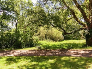 Cottage Issac Umgebung 20
