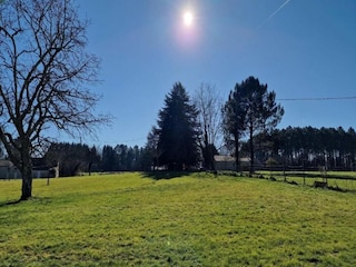 Cottage Issac Umgebung 34