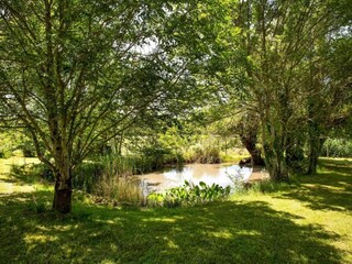 Casa de vacaciones Issac Entorno 36