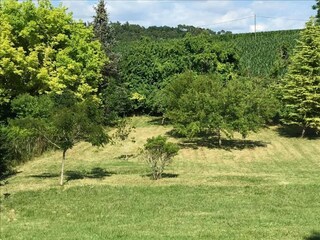 Casa de vacaciones Issac Entorno 29