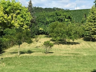Cottage Issac Umgebung 34