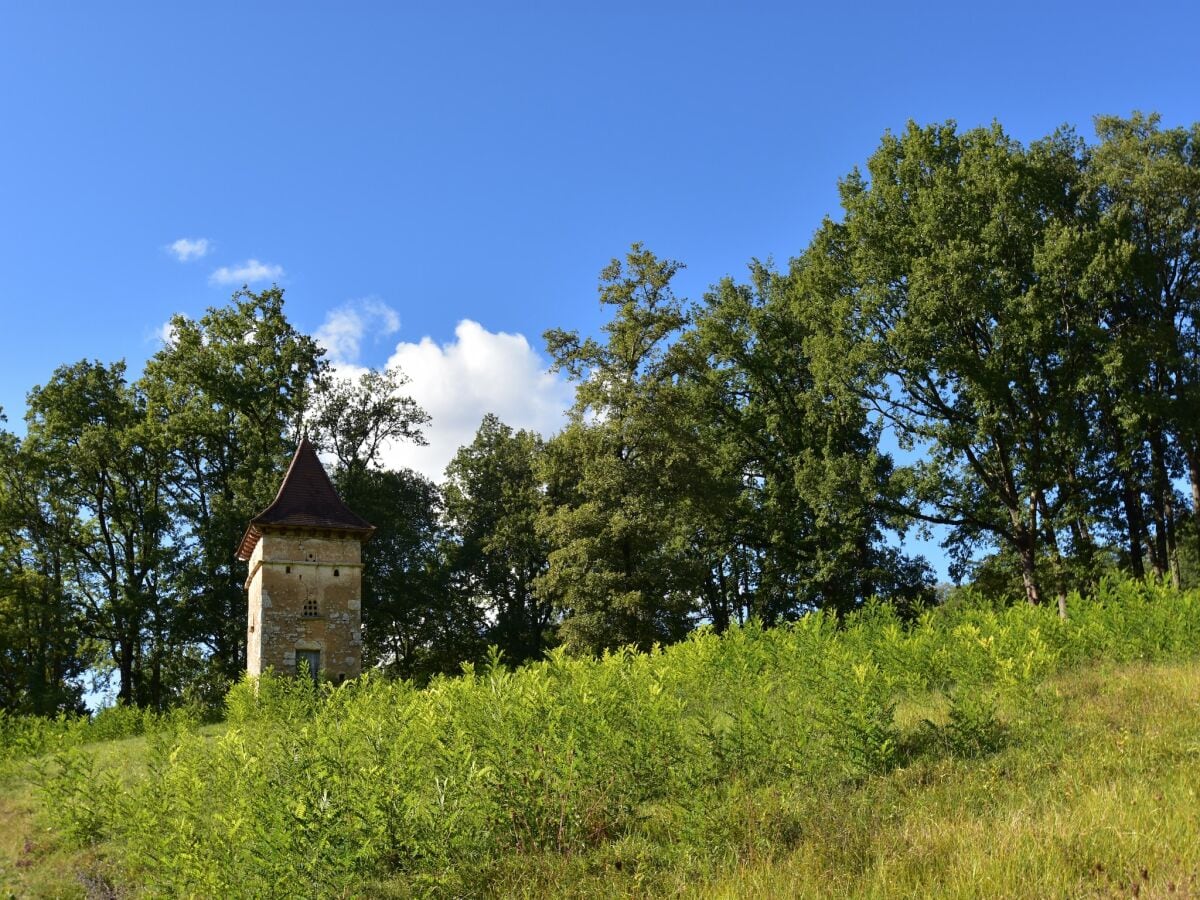 Ferienhaus Montferrand-du-Périgord Umgebung 28