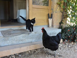 Casa de vacaciones Montferrand-du-Périgord  39