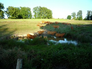 Villa La Coquille Omgeving 35