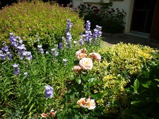 Villa La Coquille  38