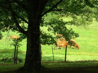 Villa La Coquille Omgeving 34