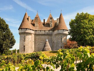 Casa de vacaciones Monbazillac Entorno 38