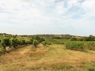 Villa Colombier Environnement 38