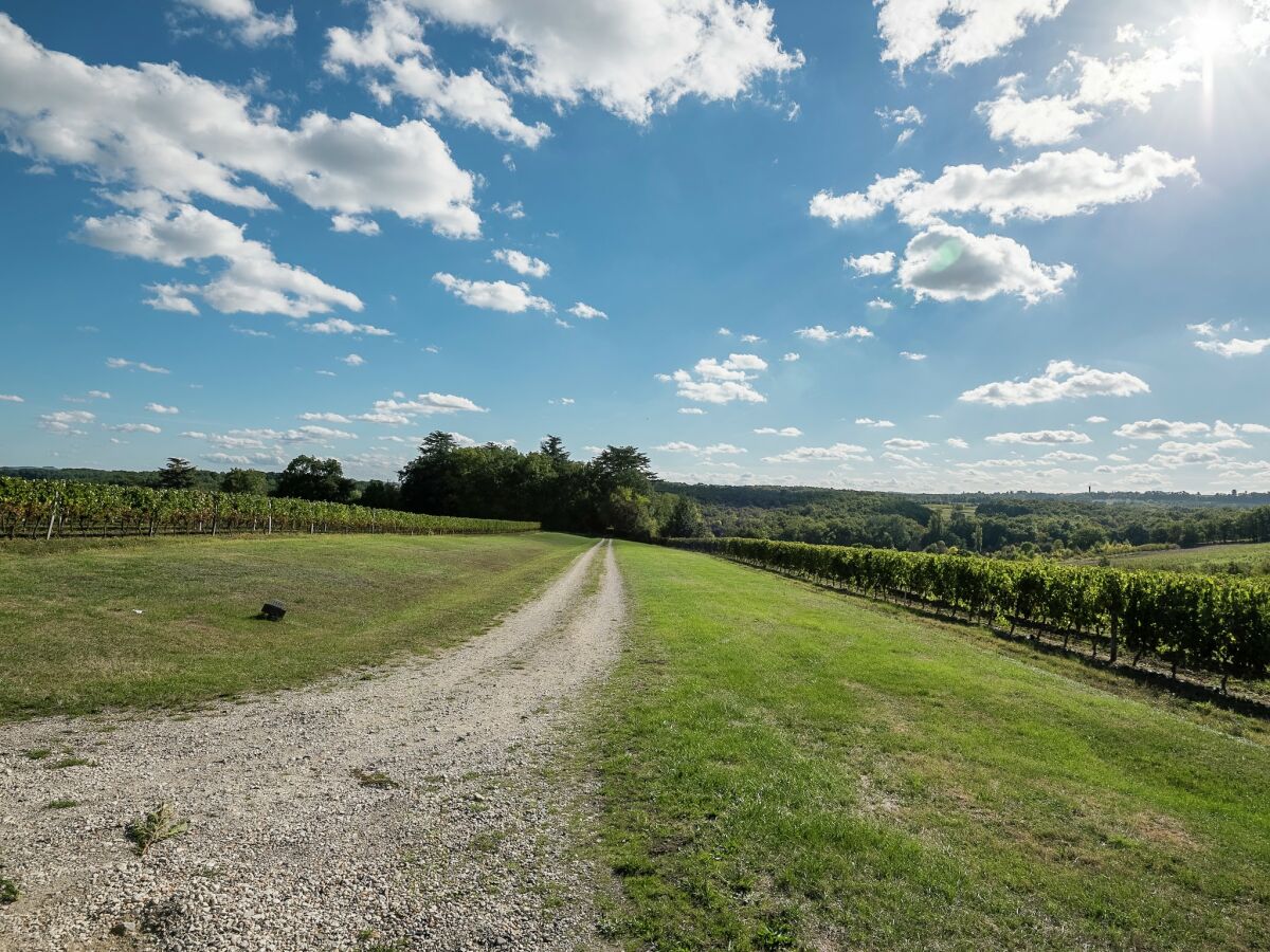 Ferienhaus Monbazillac Umgebung 30