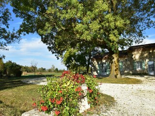 Casa de vacaciones Monbazillac  39