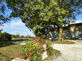Holiday house Monbazillac  40