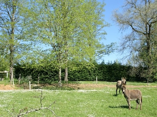 Maison de vacances Saint-Sauveur  37