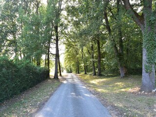 Vakantiehuis Saint-Sauveur Omgeving 36