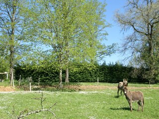 Maison de vacances Saint-Sauveur  37