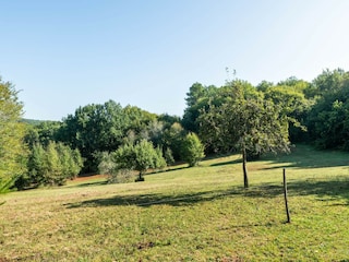 Ferienhaus Villefranche-du-Périgord Umgebung 33
