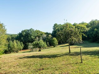 Vakantiehuis Villefranche-du-Périgord Omgeving 33
