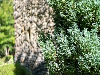 Maison de vacances Villefranche-du-Périgord  37