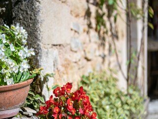 Vakantiehuis Villefranche-du-Périgord  37