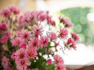 Ferienhaus Villefranche-du-Périgord  39