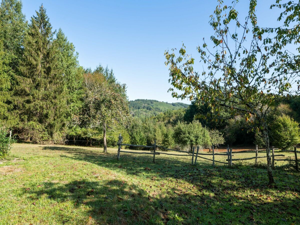 Ferienhaus Villefranche-du-Périgord Umgebung 32