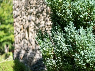Maison de vacances Villefranche-du-Périgord  38