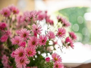 Holiday house Villefranche-du-Périgord  39