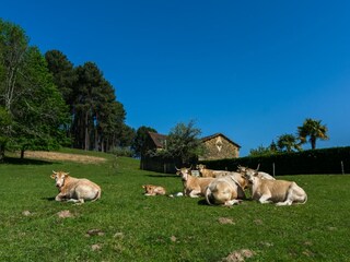 Casa de vacaciones Villefranche-du-Périgord Entorno 32
