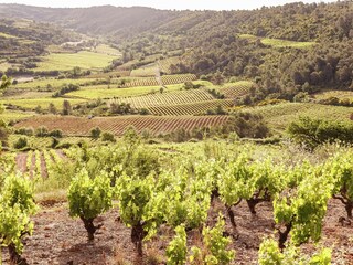 Casa per le vacanze Villefranche-du-Périgord Ambiente 31