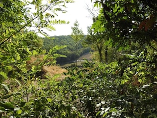 Holiday house Bouzic Environment 30