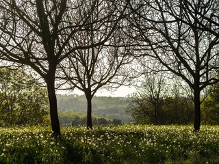 Maison de vacances Mazeyrolles Environnement 31