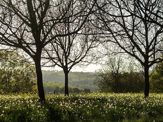 Vakantiehuis Mazeyrolles Omgeving 31