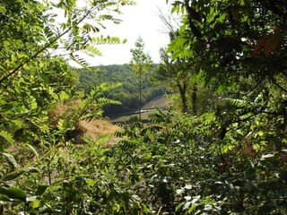 Maison de vacances Bouzic Environnement 24