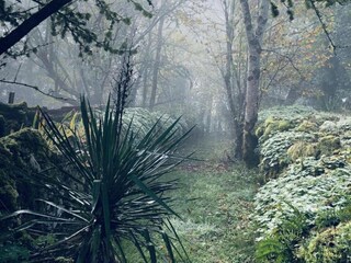 Casa per le vacanze Bouzic Ambiente 27