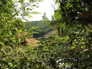 Casa per le vacanze Bouzic Ambiente 30