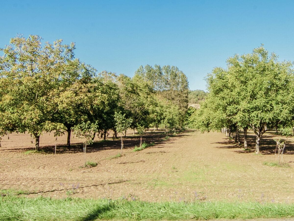 Villa Condat-sur-Vézère Grabación al aire libre 1